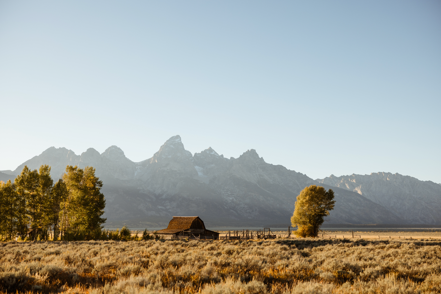 Last Light on the Row