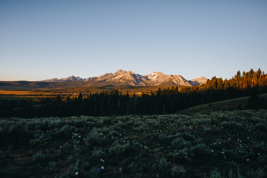 Stanley Summer Sunrise